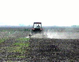 Mai multi agricultori se tem ca recoltele vor fi calamitate