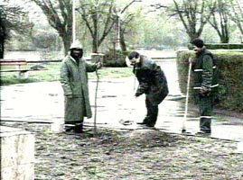 Oficialitatile au plantat artari in Parcul Europa