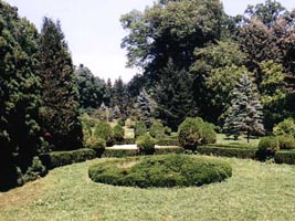 Parcul Castelului de la Savarsin adaposteste arbori din specii rare - Virtual Arad News (c)2007