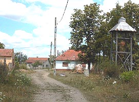 Pentru locuitorii din Bodrogul Vechi incepe revitalizarea