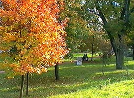 Toamna in parcul pensionarilor