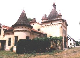 Castelul Sofronea isi vrea imaginea de odinioara