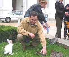 De Paste primarul Falca vrea sa populeze orasul cu iepuri