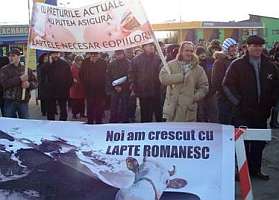 Fermierii din mai multe judete ale tarii au protestat in Vama Nadlac impotriva importurilor de lapte din Ungaria