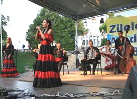 Festival romales la Zilele Aradului