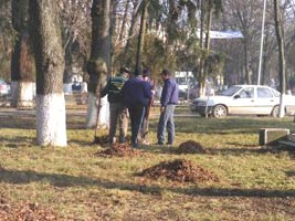 In parcul de la Ineu va fi construita o pista de skateboard