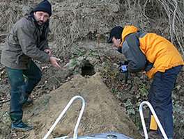 In Parcul Natural Lunca Muresului au fost gasite adaposturi de castori