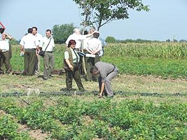 La Tarnova functioneaza o pepiniera irigata prin picurare