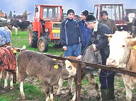 Mai multe targuri de animale vor fi desfiintate