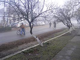 Multi tineri din Secusigiu au ales sa lucreze in strainatate