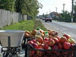 Micii comercianti care isi vand produsele la marginea drumurilor vor trebui sa plateasca o taxa