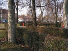 Primăria investeşte aproape trei sute de mii de euro în reamenajarea parcului Pădurice