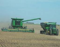 Producatorii agricoli estimeaza ca o scadere a productiei de cereale va duce implicit la scumpiri