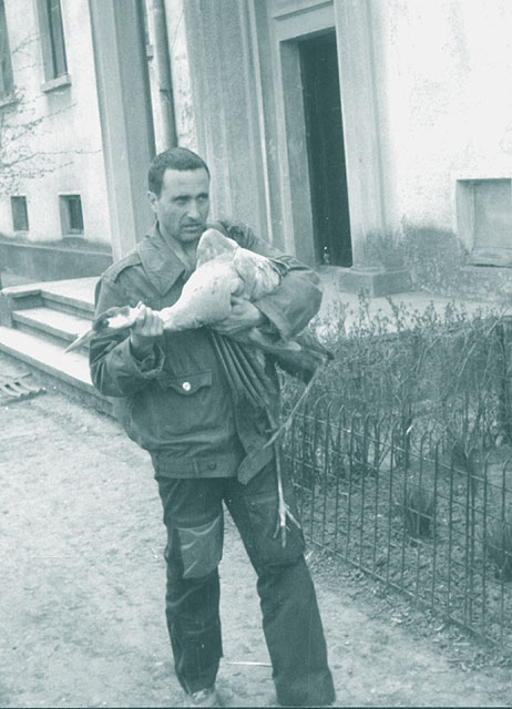 Doru si cocorul ranit