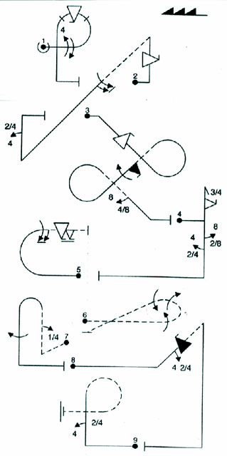 Program de zbor acrobatic