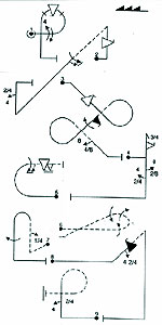 Program de zbor acrobatic