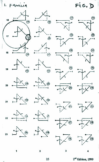 Poza 6