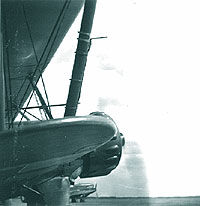 Ghimbav 1941, IAR-38