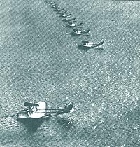 Escadrila de hidroavioane Savoia-Marcheti S-55 la amerizare