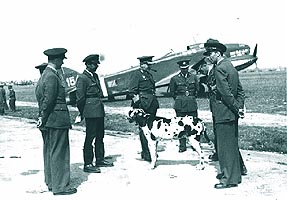 Avion Savoia pe Frontul de Vest