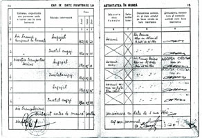 Date privitoare la activitatea in munca a lui STEFAN GICHILEANU