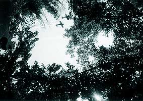 Bucuresti, 11.07.2004