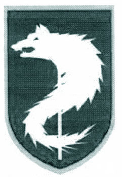 Stema escadrilei virtuale de vanatoare Ro, o adaptare a steagului dacic, alcatuita din 4 patrule a cate 4 avioane fiecare