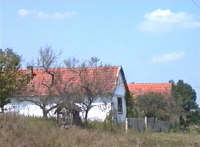 Cuvesdia - Case - Virtual Arad County (c)2001